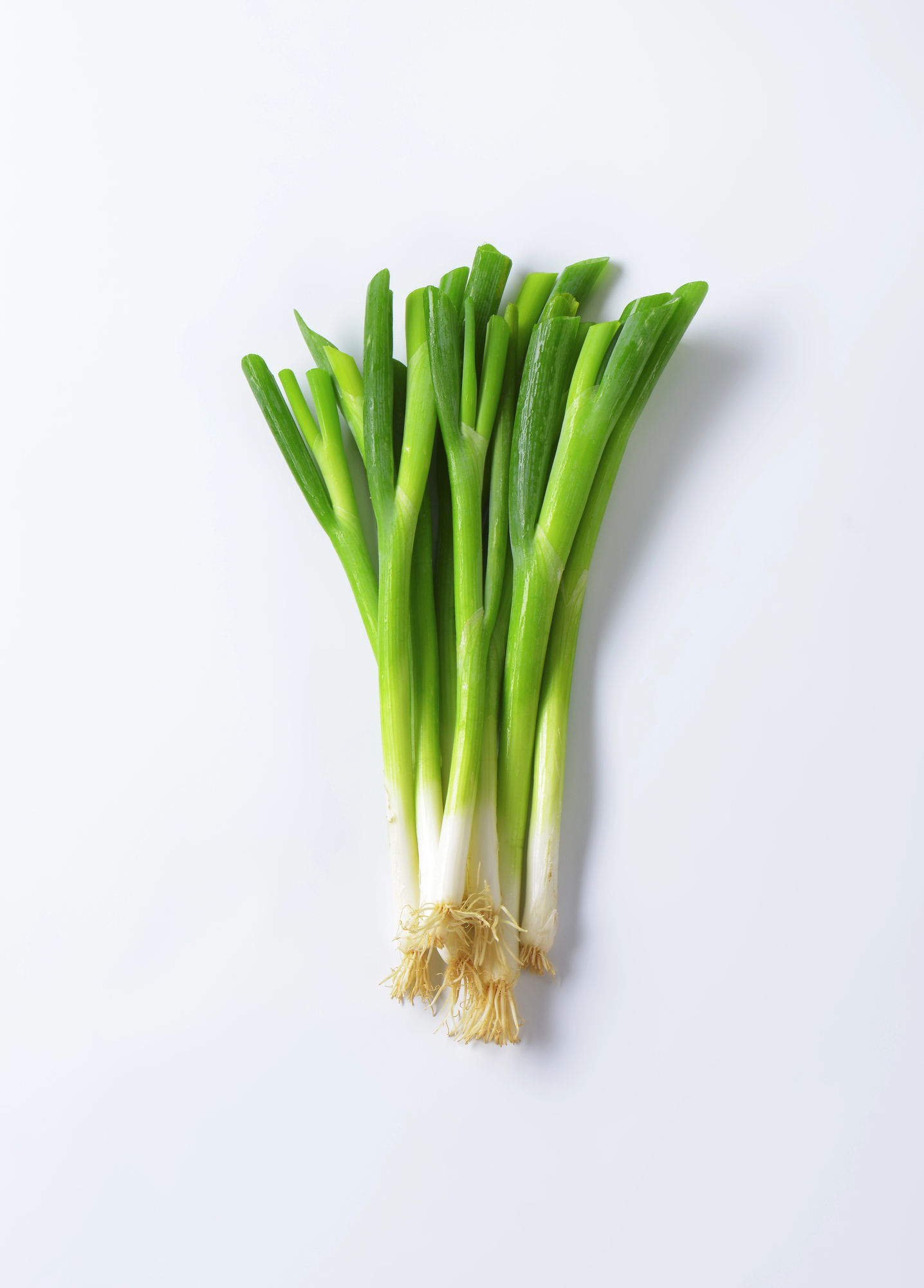 ONIONS GREEN