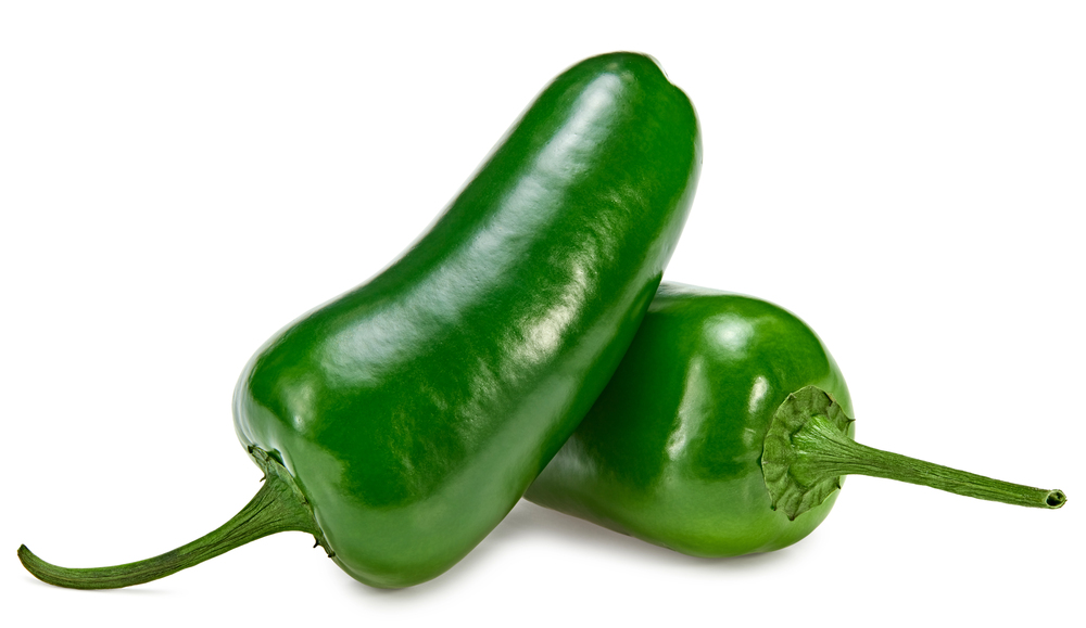 JALAPENO PEPPERS