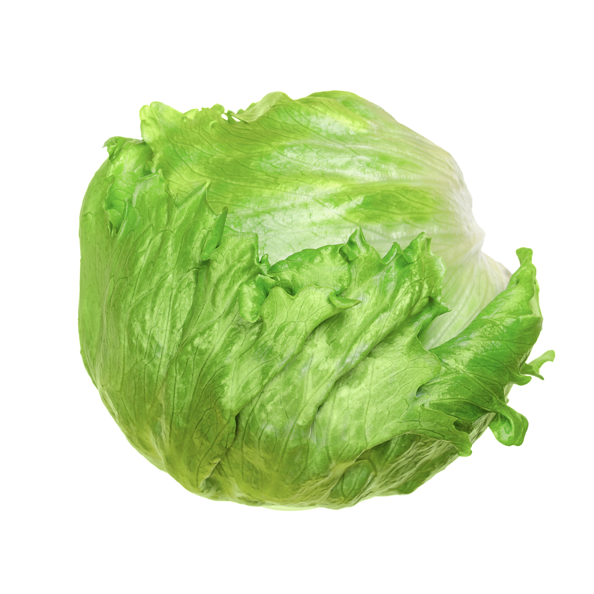 LETTUCE CELLO