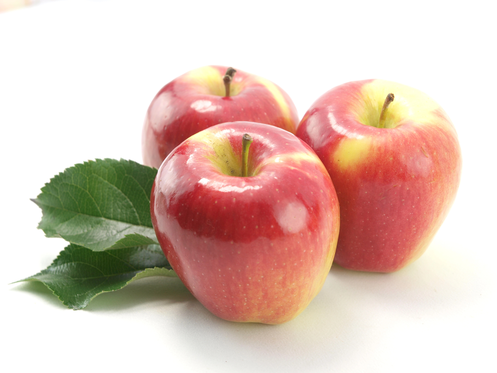 APPLES HONEYCRISP